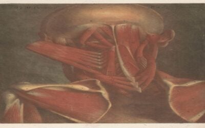 When Rib Pain Comes from the Spine: Thoracic Radiculopathy and Targeted Platelet-Based Treatment