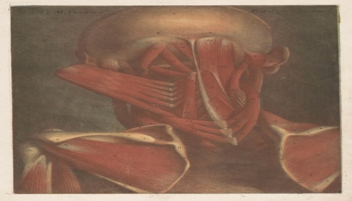 When Rib Pain Comes from the Spine: Thoracic Radiculopathy and Targeted Platelet-Based Treatment