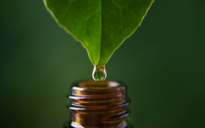 From Chemistry to Clinical Application: Essential Oils as Multitarget Therapeutics for Microbiome Balance Across Three Mucosal Systems