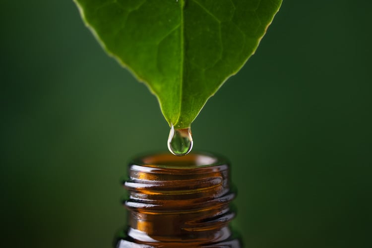 From Chemistry to Clinical Application: Essential Oils as Multitarget Therapeutics for Microbiome Balance Across Three Mucosal Systems